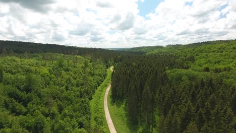 Drone-flight-over-a-path-in-Verdun-forest-in-France.